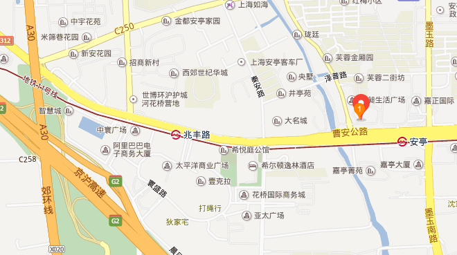 上海嘉定安亭镇新源路58号1504室 房地产项目